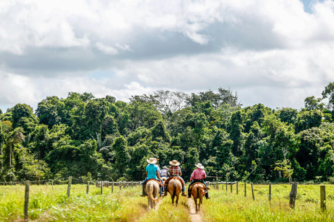 Barbados: Countryside & Rainforest Horse Riding Adventure