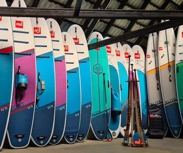 Lake Balaton: SUP Board Rental (2 hours)
