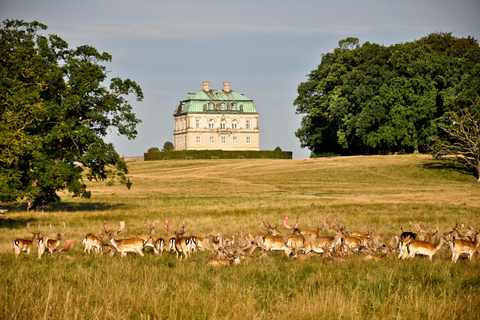 Deer Park Entry Ticket Jægersborg Dyrehave (Dyrehaven)