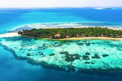 Zanzibar: Tur till Prison Island och Nakupenda SandbankPrivat tur utan transfer men alla inträdesavgifter ingår.