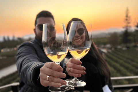 Santiago : Visite des vignobles au coucher du soleil avec dégustation de vins et dînerTransfert au domaine viticole avec billet, dégustation et dîner