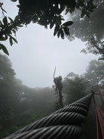 Monteverde, Guided Tour in Monteverde Cloud Forest - Housity