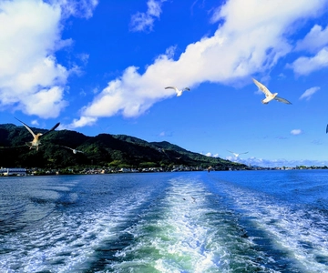 Fra Osaka/Kyoto: Amanohashidate dagstur med måltid