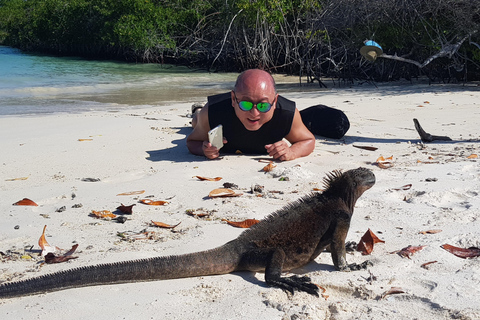 Au départ de Puerto Ayora : Journée de plongée en apnée sur l'île de Santa Fe