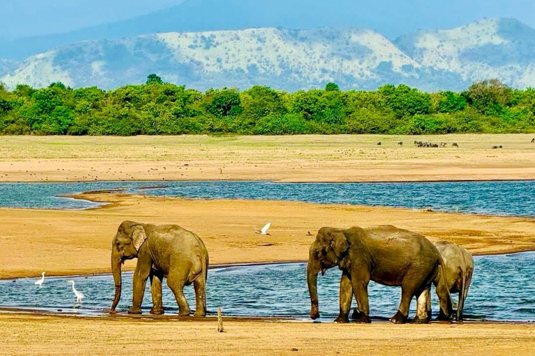 Private Udawalawe Safari & Lakeside Nature Break