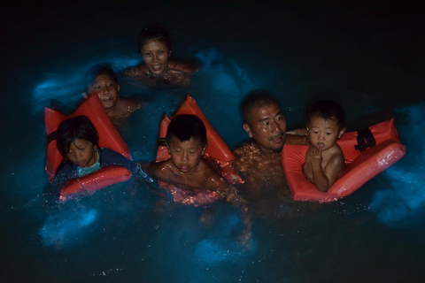 Falmouth: Luminous Lagoon Boat Tour Luminous Lagoon Boat Tour