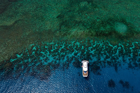 Cairns: Great Barrier Reef Cruise with Gold Class Lounge