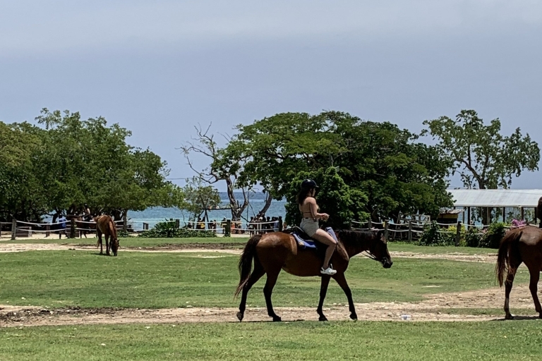 Montego Bay: excursión de un día con tirolesa, vehículo todoterreno y paseo a caballo