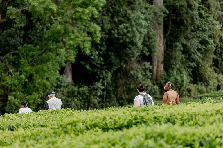 Kigali: 3-Day Culture, Canopy & Waterfalls Safari Tour