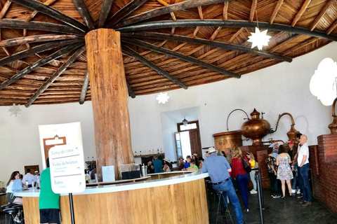 Rondleiding &quot;Parras de la Fuente&quot;, met gids, transfer en tickets