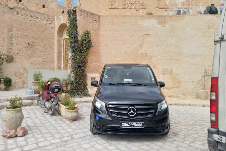 Tunis: Guided visit to the Bardo Museum, Carthage, Sidi Bou Said Shared group