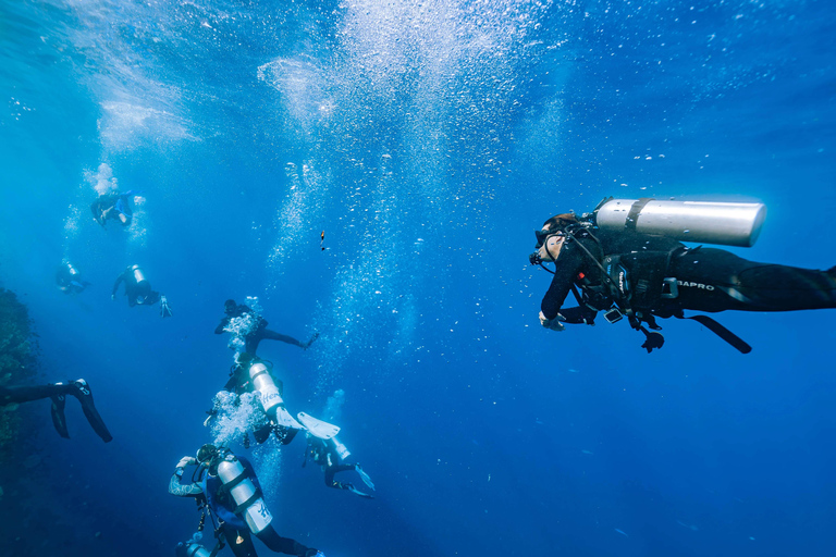 Malta: Try-Dive and World War II Shipwreck Dive