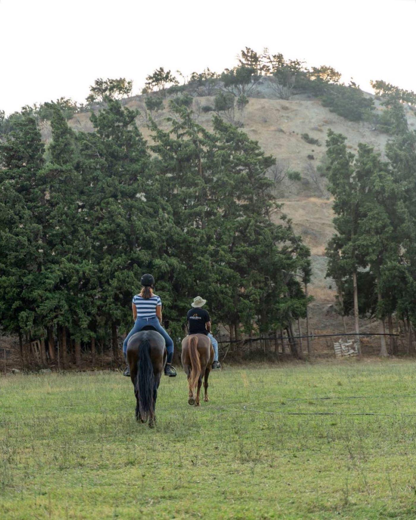 Reiten auf Kreta: Ausritt durch die kretische Landschaft