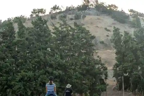Crete Horse Riding: Cretan Countryside Ride