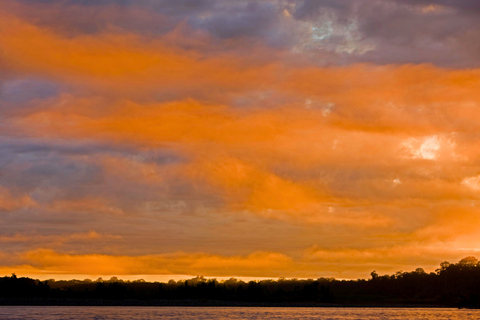 From Cusco: 3-Day Manu Amazon Jungle Expedition & Photos