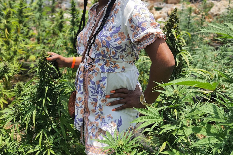 Best In The West Herbal & Farming Tour In Westoreland