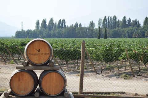 Aventure vélo et vin dans les Andes Pédalez et dégustezAventure vélo et vin dans la Cordillère des Andes : Pédalez et dégustez