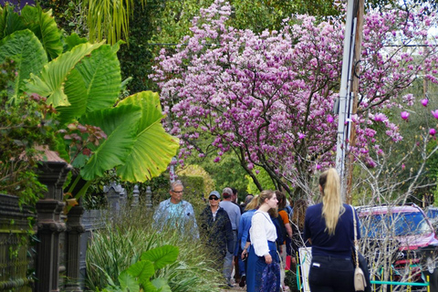 New Orleans: Tour a piedi del distretto dei giardini di Witches Coven