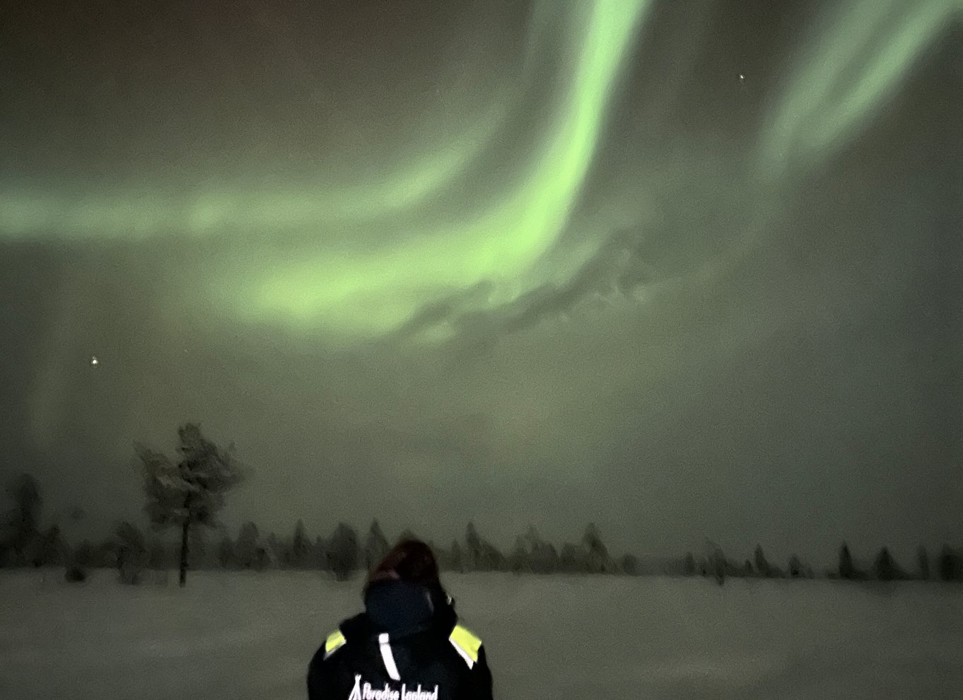 Kiruna: Guidet snescootertur og nordlysjagt