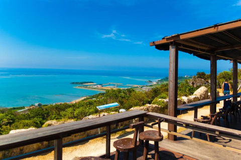 那霸：冲绳南部，风光旖旎，采摘乐趣，烧烤午餐那霸：冲绳南部，观景，采摘水果，烧烤午餐