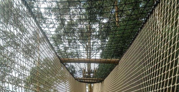 Ella: Mini Adam&#39;s Peak Skywalk Adventure