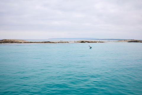 Ibiza: Formentera Catamaran Cruise, Free Time & Sunset Party