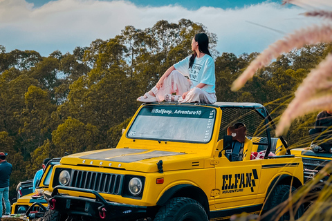 Bali - en resa Solnedgång Mount Batur Jeep och varm källa All InclusiveJeep Solnedgång &amp; mötesplats för varma källor