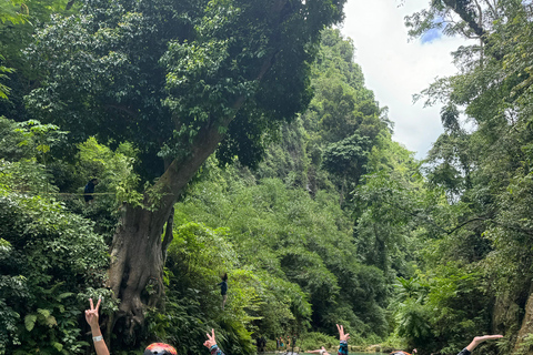 Cebú: Natación con tiburón ballena y barranquismo en las cataratas Kawasan