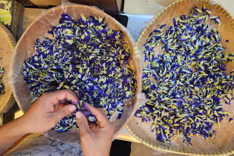 Melaka: Rempah Routes Food Tour with 15+ Tastings