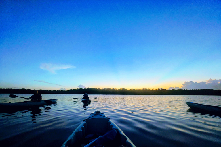 Cocoa Beach/Merritt Island:Bioluminescent kayak tour Single Kayak