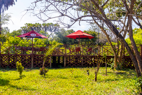 Exploring Nature's Treasures: A Private Day Trip in Diani Exploring Nature's Treasures: A Day Trip in Diani