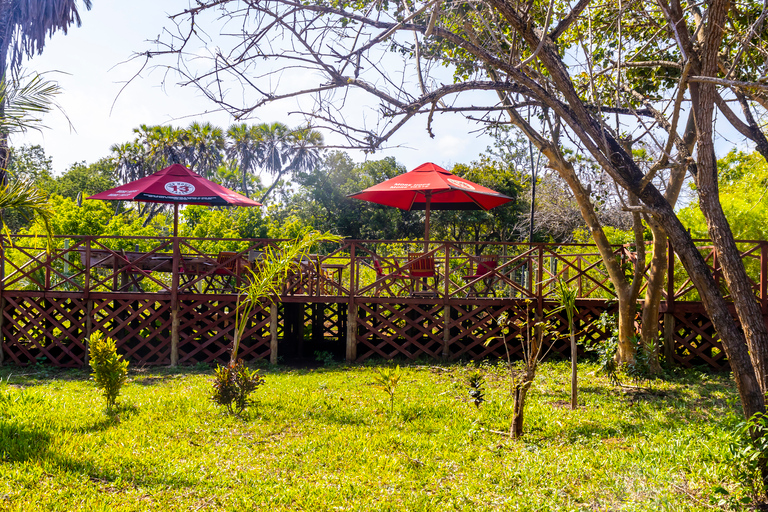 Exploring Nature's Treasures: A Private Day Trip in Diani Exploring Nature's Treasures: A Day Trip in Diani