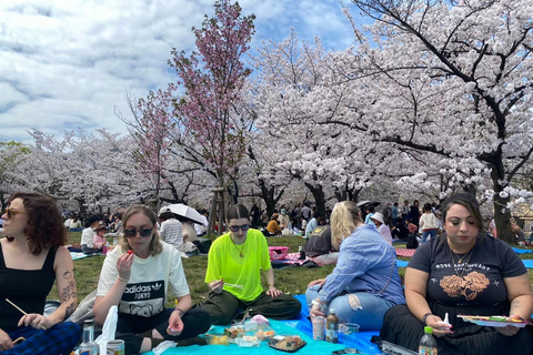 Osaka: Springtime Sakura Picnic "Hanami"