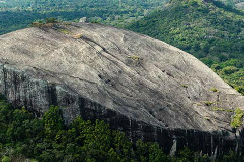 From Kandy: Sigiriya, Dambulla, & Minneriya Private Day Trip