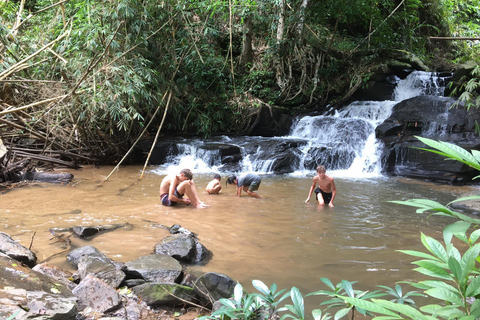 Chiang Mai: 2-dagars djungelvandring med elefantfarm och forsränning