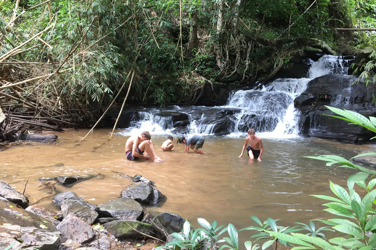 Chiang Mai: 2-dagars djungelvandring med elefantfarm och forsränning