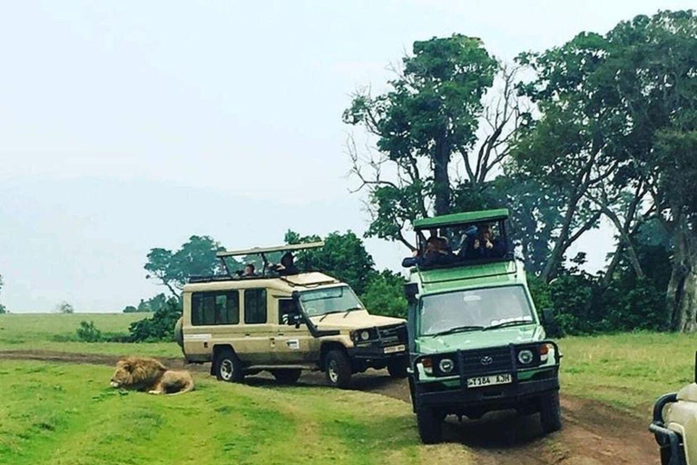 6-Day Ngorongoro Adventure and Serengeti