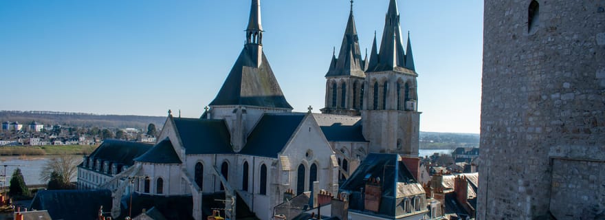 Tour de ville de Blois en visite guidée