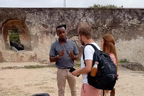 Mombasa: Shore Excursion Tour For Cruise Ships Guests.