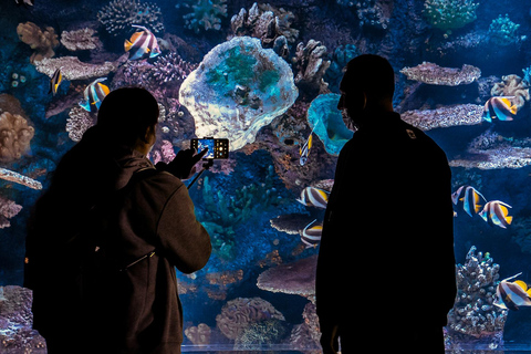 Antalya: Ticket de entrada al Acuario y al Museo de Cera