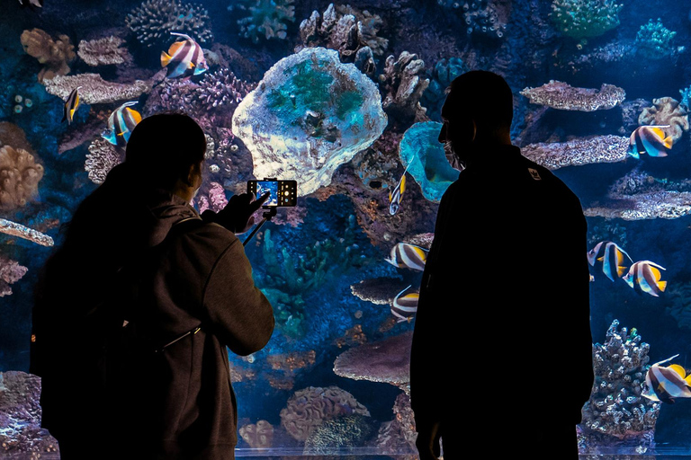 Antalya: Ticket de entrada al Acuario y al Museo de Cera