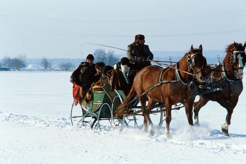 Bad Wörishofen: giro in carrozza storicaBambini