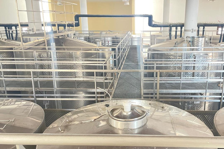 Paphos Hills Wine Tour: Tsangarides, Kolios & Vouni Panayia