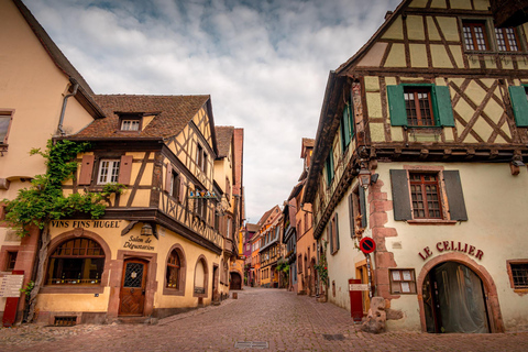 Från Colmar: Alsace vinrutt tur halvdag