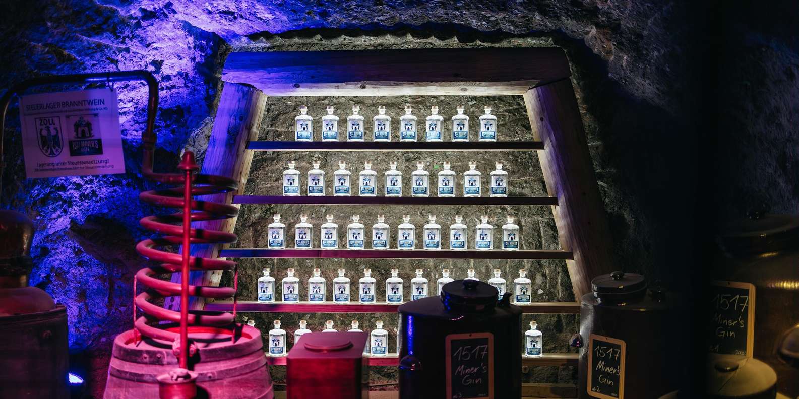 Salzburg: Sound of Music and Salt Mines Tour