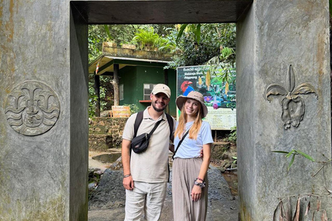 From Bentota: Sinharaja Forest Trekking with Waterfall Bath Pick up from Ahungalla / Bentota