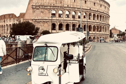 Rom: Private Stadtrundfahrt mit elektrischem Tuk Tuk und Transfer