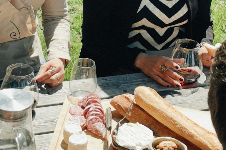 Bordeaux: Winery Tour and Garden Picnic