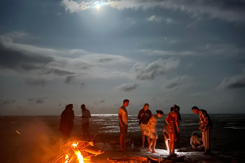 ROMANTIC BEACH BONFIRE DINNER