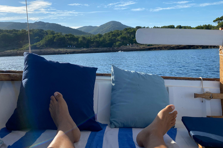 Tour privado por la costa en invierno: Tour en barco panorámico de 2,5 horas